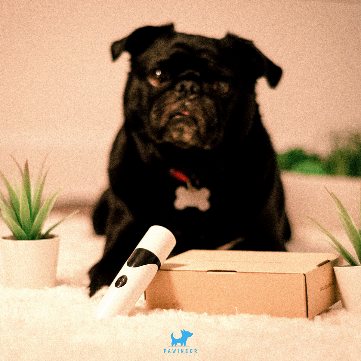 PupTrimmer™ - Pawineer™