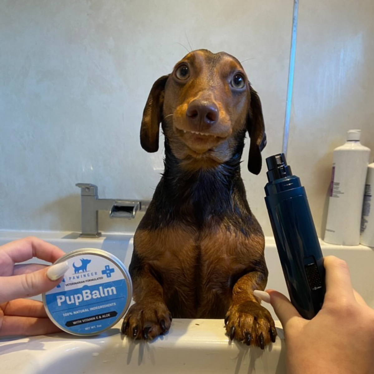 PupTrimmer Pro